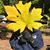 Christina Hammack's profile image