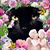 Margaret Waters's profile image