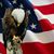 John Kelly's profile image