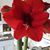 Jane Wall Walters's profile image