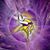 JoAnne Pogue's profile image