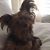 Judy Dutchess's profile image