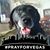 Ryan Schlotter's profile image