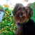 Michael McEwen's profile image