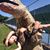 Jeff Zay's profile image