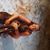 Teresa Smith's profile image