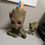 Brenda Beach Pearce's profile image