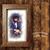 Steve Romig's profile image
