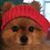 Yumiko Blair's profile image