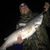 Tony Campise's profile image