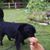 Maureen Moeller Oneill's profile image