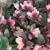 Kathy Carter Morse's profile image