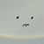 Garnett Richard's profile image