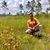 Francisco Javier Palacios's profile image