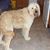 Karen Kious Takes's profile image