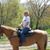 Joan Marsala's profile image
