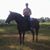 Janis Sawtelle Lawrence's profile image
