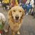 Joyce Hamlyn's profile image