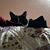 Maggie Spencer's profile image