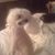 Donna Anderson's profile image