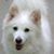 Phyllis Morris's profile image