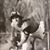 Dennis Werth's profile image
