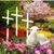 Doris Mires Peden's profile image