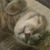 Adrianne Kozlowski's profile image