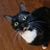 Heather Jones's profile image