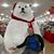 Traven Pelletier's profile image