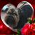 Amy Lane's profile image