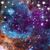 Tonya L. Cook's profile image