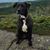 Jennifer Fabiano Pingree's profile image