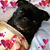 Susan Johnson's profile image