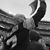 Alfredo Fontana's profile image