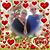 Cindy Ford's profile image