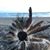 Timothy Morse's profile image