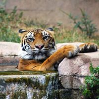 Michael A Brumley's profile image