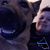 Ashley Whitt's profile image