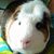 Sylvia Torres's profile image