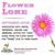 Mary Hamer's profile image