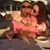 Nelida Torres Santiago's profile image