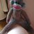 Joe Hureau's profile image