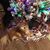 Brenda Joy Lohman's profile image