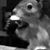 Tom Nubz's profile image