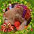 Wendy B Tripp's profile image