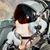 Carolina Liechtenstein's profile image