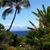 Donna Zackey Baimbridge's profile image