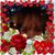 Rose Ann's profile image