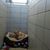 Lianne Zeltinger's profile image